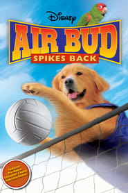 Air Bud 5: Super Smash