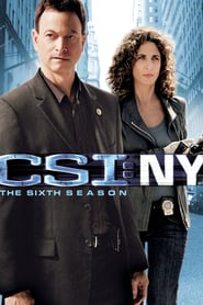 CSI: NY: Seizoen zes: Aflevering 6.1 - 6.11