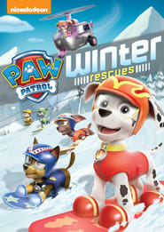 Paw Patrol: Reddingsmissies In De Winter